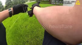 Heroic police officer rescues trapped bird in the USA