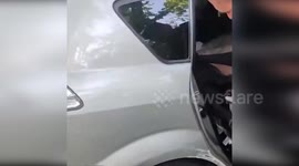 Spain: Abandoned Dog Rescued from Hot Vehicle in Madrid