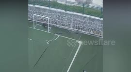 Wild boar attacks security guard at school in China