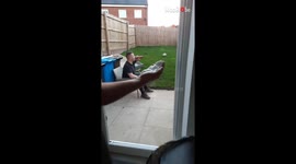 Mischievous man's pieface prank idea hilariously backfires