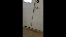 Bird Leaves Note In Newly Built Nest