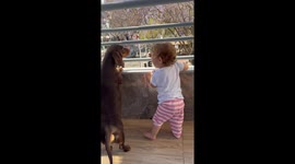 Two Tiny Greeters On The Balcony