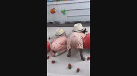 Baby and dog are sleeping in matching strawberry summer outfits, cutest thing ever!