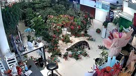 Valuable fish tragically dies after escaping tank at Chinese aquarium