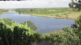 Hippos, Buffalos, and Butterflies at Kruger National Park Outlook point.