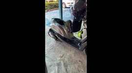 Pet cat rummages through motorcycle to steal money