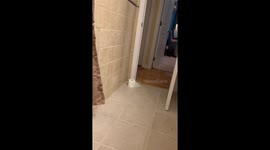 Little boy launches a full-blown meltdown after mommy's messy mischief
