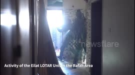 Palestine: The Nahal Brigade's Activity in the Rafah area