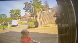 Woman's face punctured in attack by two XL bully dogs