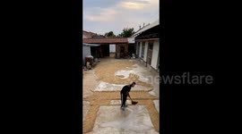 Talented Chinese man creates wheat grain artwork to encourage university entrance exam candidates