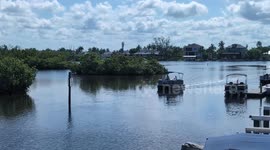 Bonita Springs Marina Boating