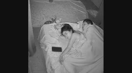 Your Favorite Bunny Hairstylist