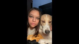 Owner Lines Eyes To Match Dog