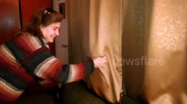 Orange tabby cat plays at a window behind the curtain with owner, practically shredding the curtains!