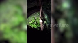 Leopard rescued from deep well in southern India