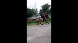 Shocking moment rider gallops horse along road in Thailand