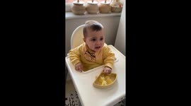 Baby betrayed by curiosity after his lemon-tasting experiment takes a sour turn