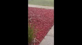 Dramatic hailstorm hits DeBary, Florida