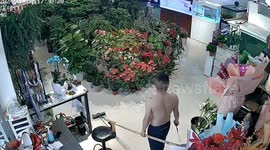 Rare Amazonian air-breathing fish leaps out of tank onto floor