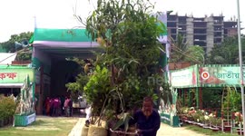 Bangladesh launches mega tree planting campaign, eyes over 80 mln saplings