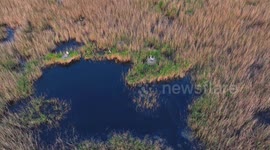 Wetland in N China becomes paradise for migratory birds