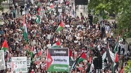 Pro-Palestine march in London