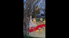 Man brings unexpected delight to his partner's heart via a splendid wedding proposal