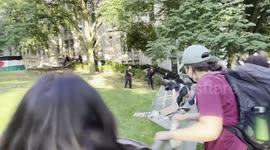 Pro-Palestine protesters overpower police, topple barrier in Pittsburgh