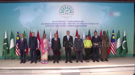 D-8 countries call for immediate, unconditional ceasefire in Gaza