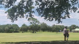 Sunny Day at Veteran's Park
