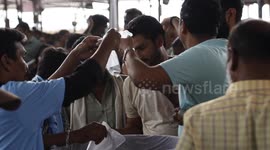 Thousands swallow LIVE FISH in the hope of curing respiratory diseases in India
