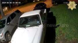 USA: Cat on Fire Running Down Street