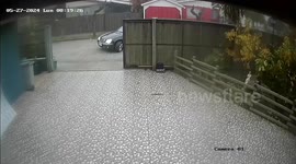 Man Slips and Falls On Slick Driveway