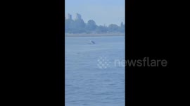 Canada: 2 Hospitalized After Seaplane Collides With Boat In Coal Harbour In Vancouver