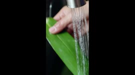Special flavors of zongzi in China's Yunnan