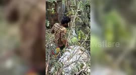 India: Box stuck in dog's head removed in central India, saves canine's life