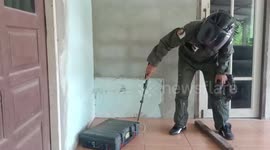 King cobra hiding inside old man's tool box in garage rescued