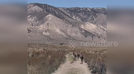 Biologist captures majestic deer migration in US wilderness