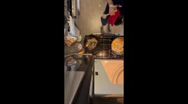 Culinary dream drowns in sizzling oil as the phone meets its fate