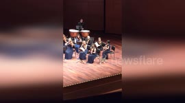 Cat steals the show by roaming amongst orchestra at music festival in Istanbul