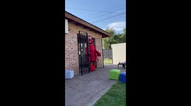 Birthday Party Lobster Wardrobe Malfunction