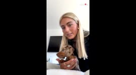 Overjoyed doggo showers human dad with non-stop kisses as he comes home from work