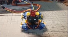 China: An Interactive Robo-Dog