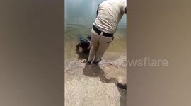 Drunk cooling off in lake mistaken for drowning victim