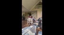 Tennis Balls Rain Down From Loft