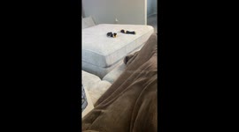 Mom uses walkie talkies instead of cell phones to keep kids safe