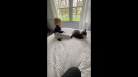 Cat and toddler's friendship progresses in heartwarming video
