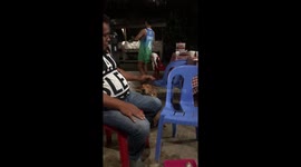 Touching moment: stranger pets stray dog at Bukids Resort