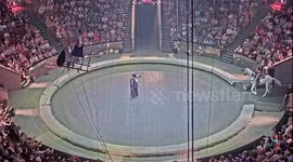 Daughter of trainer Askold Zapashny suffers foot fractures in circus horse act