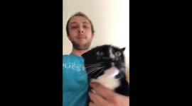 Strange cat growls when asked 'who's the meanest kitty of all?'